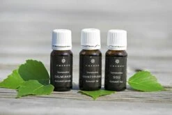 Sauna Geuren Gift Set Salmiac, Pine En Sisu – 3 X 10 Ml – Emendo